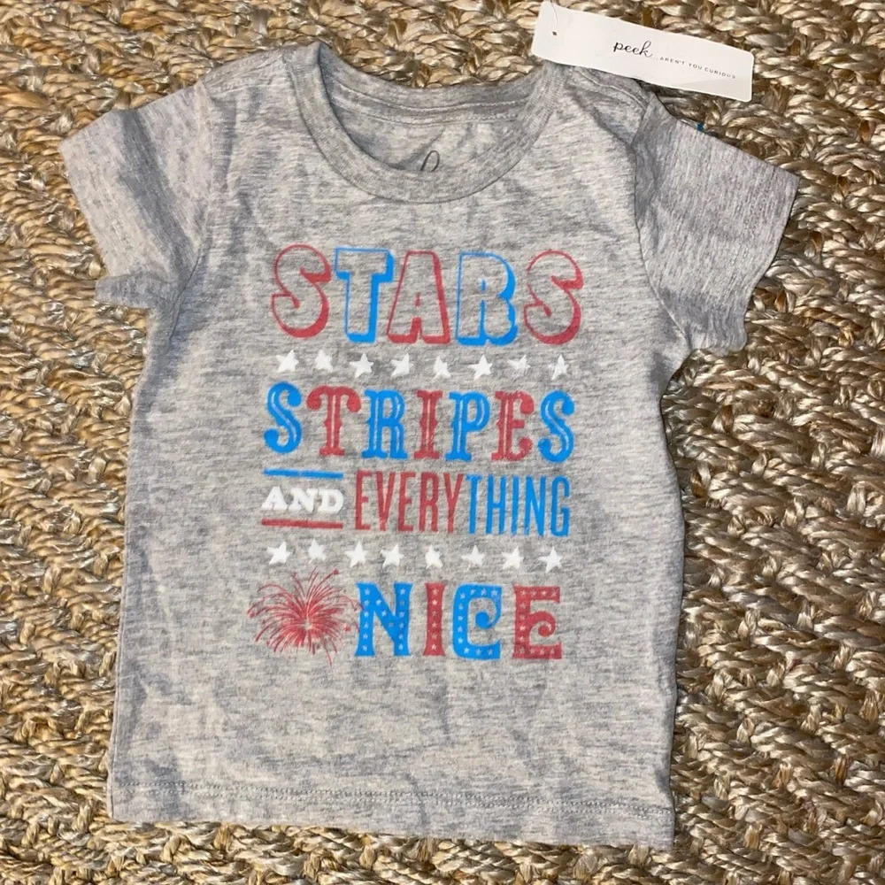 Peek Stars & Striped t shirt 12-18m gray patriotic